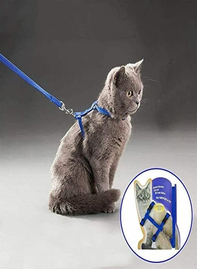 Pups&Pets طقم مقود نايلون من Pups&Pets مع حزام كامل للجسم للقطط، قابل للتعديل ومتين، مناسب للمشي مع الحيوانات الأليفة الصغيرة - أزرق - Image 2